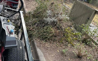 Photo of Mary K.'s yard after getting landscaping in Harwood, TX