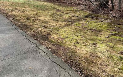 Photo of Amr A.'s yard after getting landscaping in South Windsor, CT