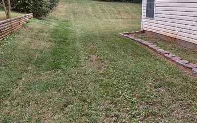 Photo of Mark B.'s yard after getting tree care in Concord, NC