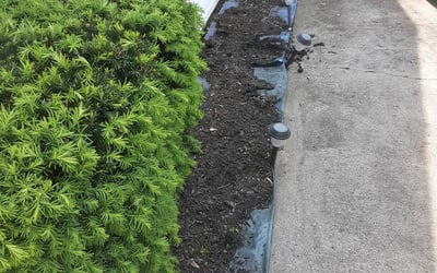 Photo of Torrance T.'s yard after getting landscaping in Terrace Park, OH