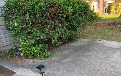 Photo of Carlos M.'s yard after getting landscaping in Sopchoppy, FL