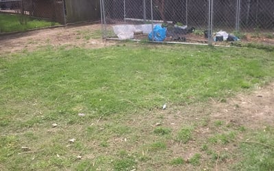 Photo of Laura M.'s yard after getting landscaping in Okmulgee, OK