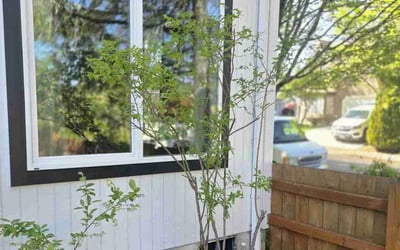 Photo of Jane J.'s yard after getting landscaping in Beaverton, OR