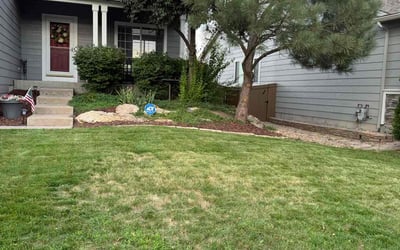 Photo of Anne S.'s yard after getting tree care in Englewood, CO