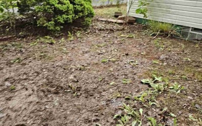 Photo of Eric M.'s yard after getting landscaping in Akron, OH