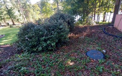 Photo of Heather B.'s yard after getting landscaping in Travelers Rest, SC