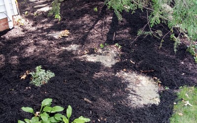 Photo of Shawn M.'s yard after getting landscaping in Olmsted Falls, OH