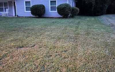 Photo of Maria D.'s yard after getting landscaping in Mount Mourne, NC
