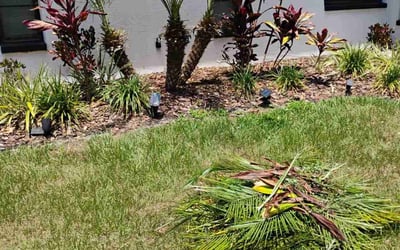 Photo of Ken H.'s yard after getting landscaping in Clearwater, FL