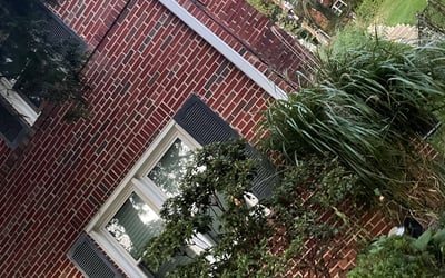 Photo of Amber P.'s yard after getting landscaping in Nanjemoy, MD
