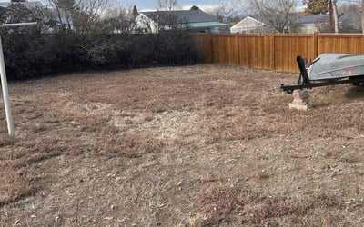 Photo of Darlene S.'s yard after getting landscaping in Kittredge, CO