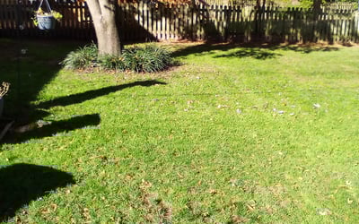 Photo of Suzanne H.'s yard after getting landscaping in Ruthville, VA