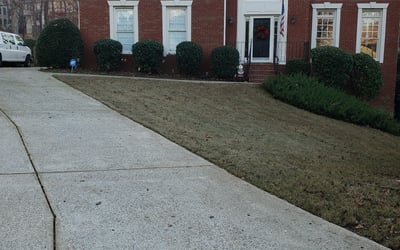 Photo of Gregory M.'s yard after getting landscaping in Clarkdale, GA