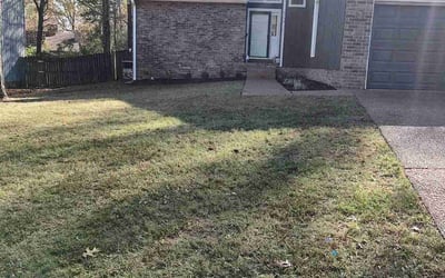 Photo of Kimberly M.'s yard after getting landscaping in Davidson, TN