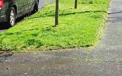 Photo of Stephanie P.'s yard after getting landscaping in Gladstone, OR