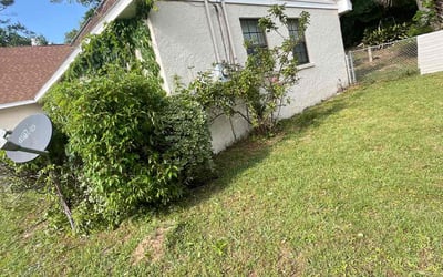 Photo of Paul I.'s yard after getting landscaping in Tallahassee, FL