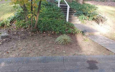 Photo of Calvin R.'s yard after getting tree care in Rockville, MD