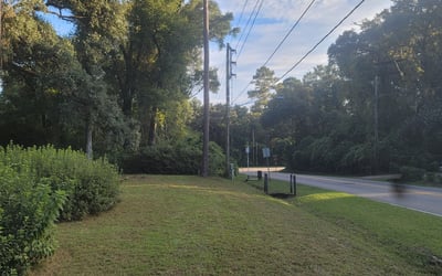 Photo of Cynthia H.'s yard after getting landscaping in Quincy, FL