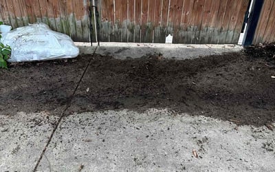 Photo of Jennifer C.'s yard after getting landscaping in Washington, DC