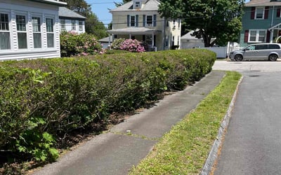 Photo of Jeff L.'s yard after getting landscaping in Groton, MA