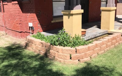 Photo of Michelle G.'s yard after getting landscaping in Sun City, AZ
