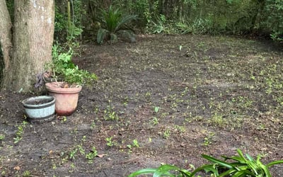 Photo of Jacob S.'s yard after getting landscaping in Green Cove Springs, FL