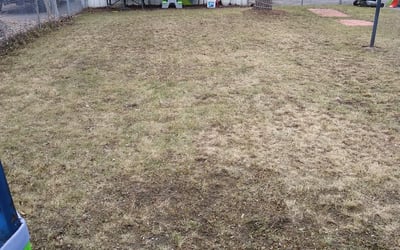 Photo of Hurio J.'s yard after getting landscaping in Delano, MN