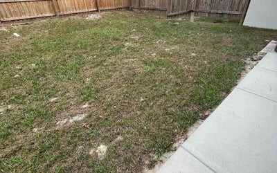 Photo of Jomarie M.'s yard after getting landscaping in Nobleton, FL