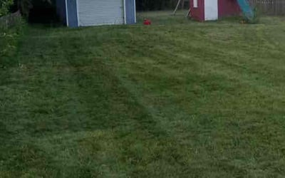 Photo of Frank J.'s yard after getting lawn care in Papillion, NE