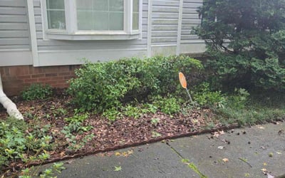 Photo of Joshua J.'s yard after getting tree care in Ball Ground, GA