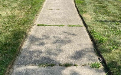 Photo of norvell C.'s yard after getting tree care in Ann Arbor, MI