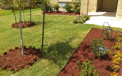 Photo of Lauren R.'s yard after getting landscaping in Christine, TX