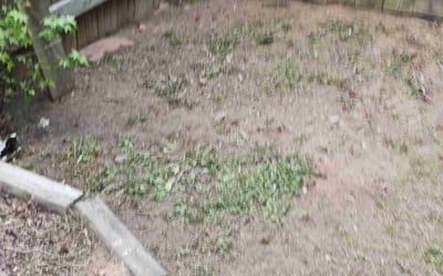 Photo of Rose G.'s yard after getting landscaping in Fairburn, GA