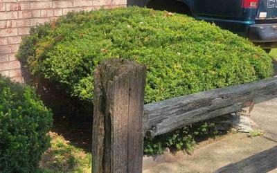 Photo of Jennifer W.'s yard after getting landscaping in Carroll, OH