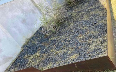 Photo of Aaron M.'s yard after getting landscaping in Schwertner, TX