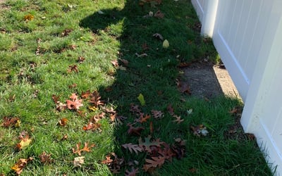 Photo of Michael C.'s yard after getting landscaping in North Dartmouth, MA