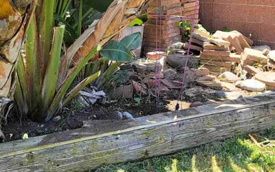 Photo of Uneki B.'s yard after getting tree care in Salinas, CA