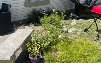 Photo of Sarah H.'s yard after getting landscaping in Camby, IN