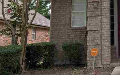 Photo of Mallarie B.'s yard after getting tree care in Cedar Hill, TX