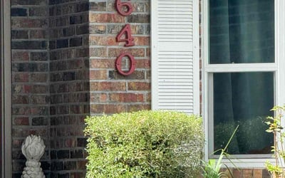 Photo of James L.'s yard after getting tree care in Lake Geneva, FL