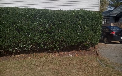Photo of Christina E.'s yard after getting landscaping in Sparta, VA