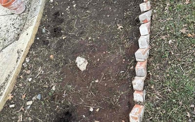 Photo of Steven C.'s yard after getting landscaping in Aubrey, TX