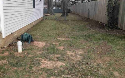 Photo of Ellen A.'s yard after getting landscaping in La Vergne, TN