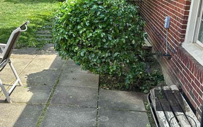 Photo of Michelle G.'s yard after getting landscaping in Springfield, VA