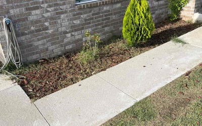 Photo of Alex W.'s yard after getting tree care in Norman, OK