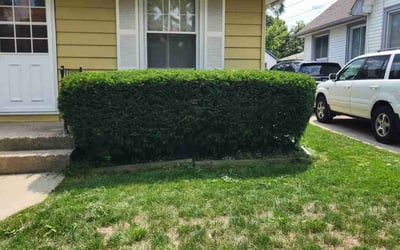 Photo of Jennifer S.'s yard after getting landscaping in Eagle, WI
