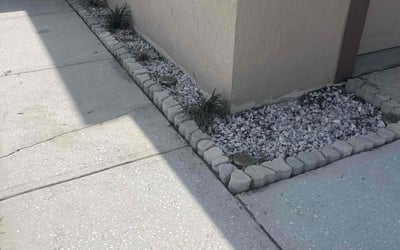 Photo of Shenise J.'s yard after getting landscaping in Bradley, FL