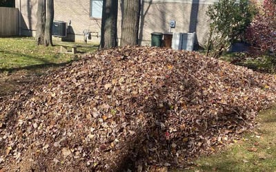 Photo of Michael O.'s yard after getting landscaping in Oxford, OH