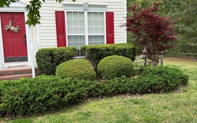 Photo of Caitlin W.'s yard after getting tree care in Mechanicsville, VA