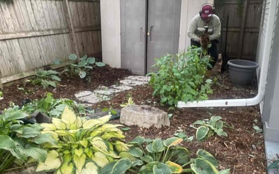 Photo of Andrew P.'s yard after getting landscaping in North Branch, MN